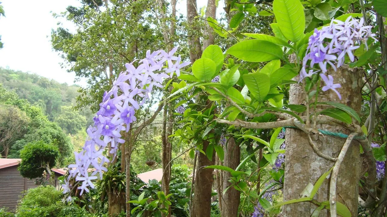 Laliwondaj Kotesi Villa Pointe-Noire 0*,  Guadeloupe