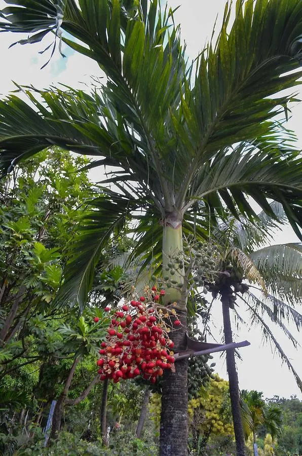Holiday home Laliwondaj Kotesi Villa Pointe-Noire